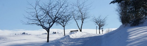 neige